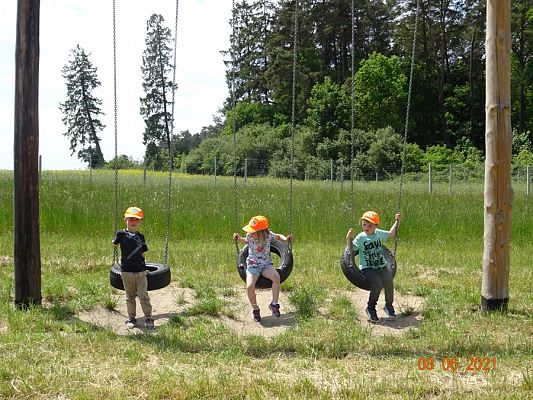 Grafika #17: Wycieczka na Farmę Alexa cz. III
