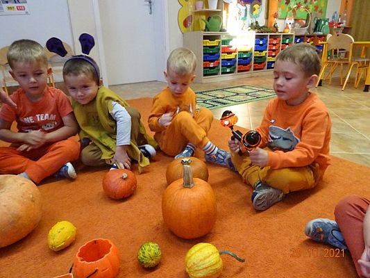 Grafika #4: Dzień Dyni cz. I