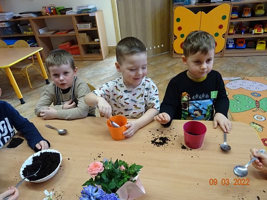 Grafika #4: Sadzimy, siejemywiosna tuż, tuż -gr. Motylki