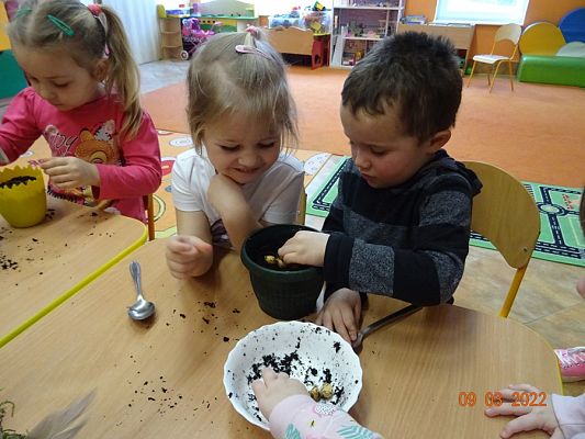 Grafika #17: Sadzimy, siejemywiosna tuż, tuż -gr. Motylki