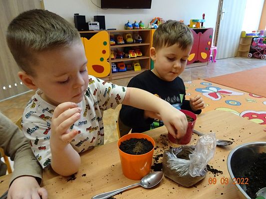 Grafika #18: Sadzimy, siejemywiosna tuż, tuż -gr. Motylki