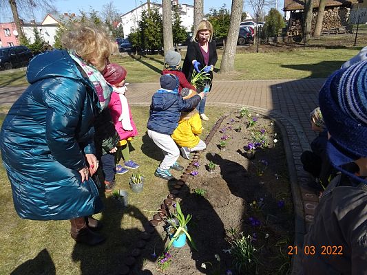 Grafika #9: Wiosna i Rybki-mali ogrodnicy