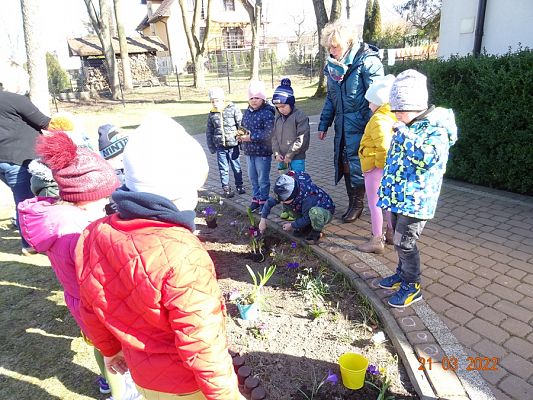 Grafika #2: Wiosna i Rybki-mali ogrodnicy