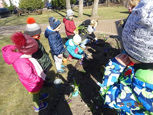 Grafika #3: Wiosna i Rybki-mali ogrodnicy