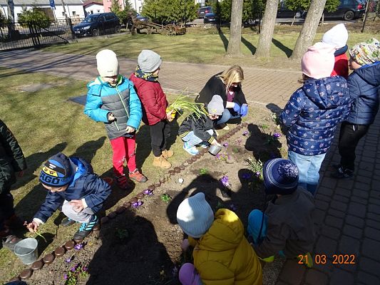 Grafika #4: Wiosna i Rybki-mali ogrodnicy