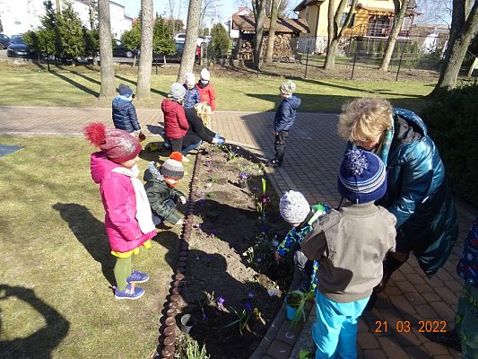 Grafika #5: Wiosna i Rybki-mali ogrodnicy