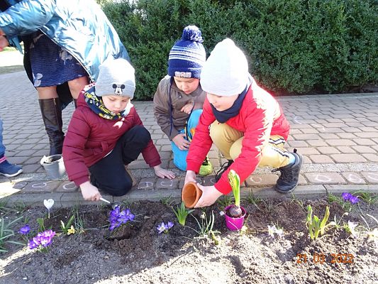 Grafika #6: Wiosna i Rybki-mali ogrodnicy