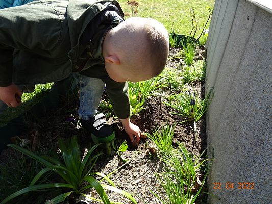 Grafika #5: Dzień Ziemi cz. V