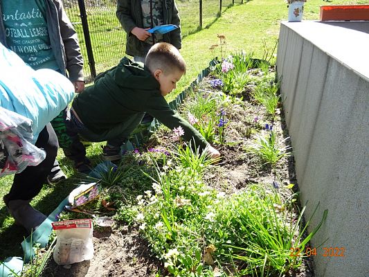 Grafika #6: Dzień Ziemi cz. V