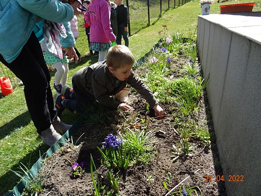 Grafika #7: Dzień Ziemi cz. V