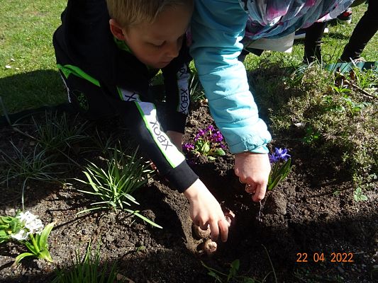 Grafika #12: Dzień Ziemi cz. V