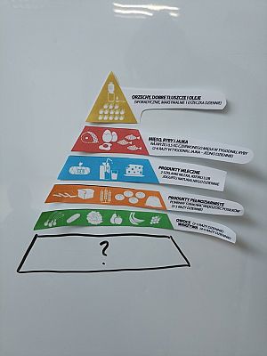 Grafika #9: Skąd się biorą produkty ekologiczne -zajęcia w grupie III Sowy