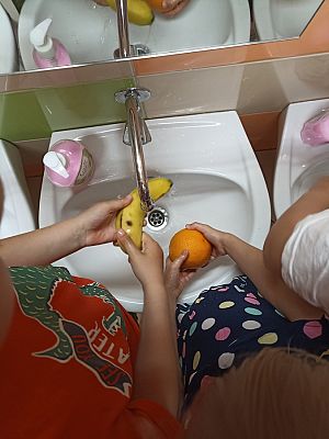 Grafika #11: Skąd się biorą produkty ekologiczne -zajęcia w grupie III Sowy