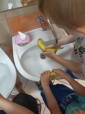 Grafika #12: Skąd się biorą produkty ekologiczne -zajęcia w grupie III Sowy