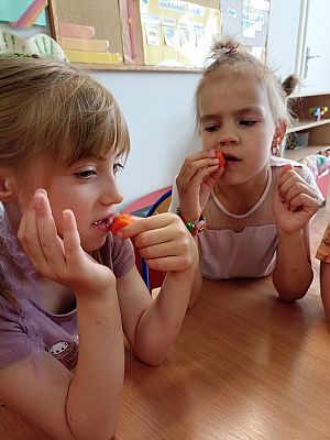 Grafika #14: Skąd się biorą produkty ekologiczne -zajęcia w grupie III Sowy