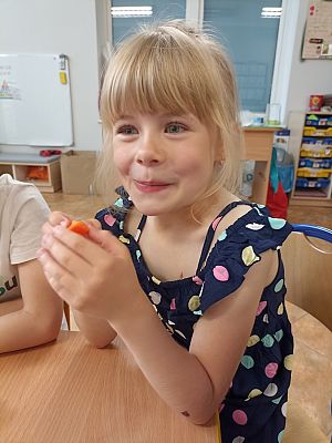 Grafika #15: Skąd się biorą produkty ekologiczne -zajęcia w grupie III Sowy