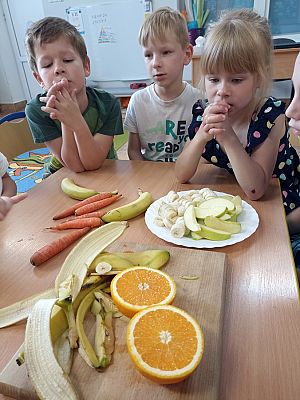 Grafika #16: Skąd się biorą produkty ekologiczne -zajęcia w grupie III Sowy