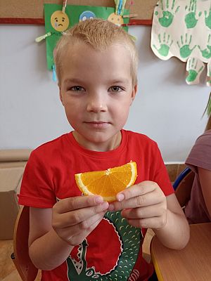 Grafika #17: Skąd się biorą produkty ekologiczne -zajęcia w grupie III Sowy