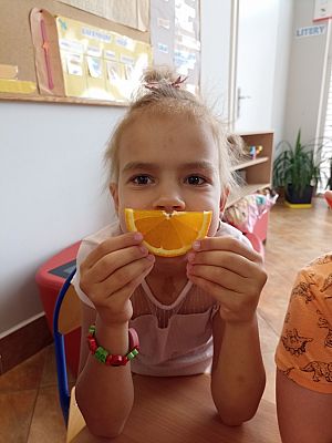 Grafika #19: Skąd się biorą produkty ekologiczne -zajęcia w grupie III Sowy