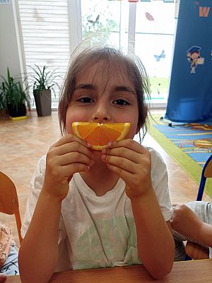 Grafika #20: Skąd się biorą produkty ekologiczne -zajęcia w grupie III Sowy