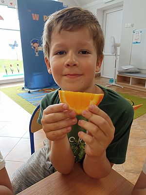 Grafika #21: Skąd się biorą produkty ekologiczne -zajęcia w grupie III Sowy