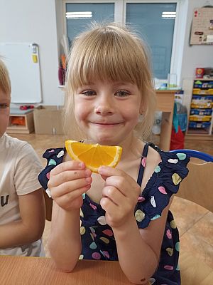 Grafika #22: Skąd się biorą produkty ekologiczne -zajęcia w grupie III Sowy