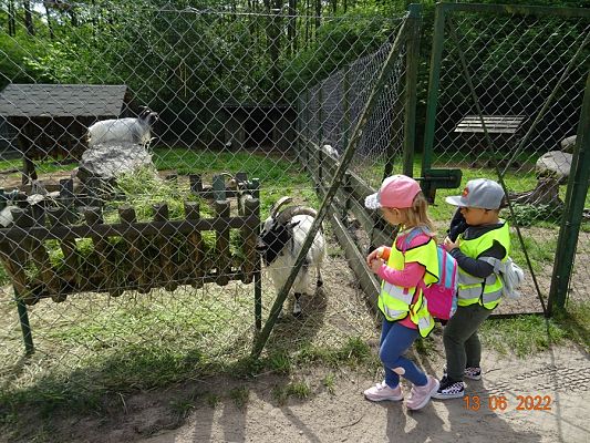 Grafika #0: Przedszkolaki u Dinozaurów-wycieczka cz. II