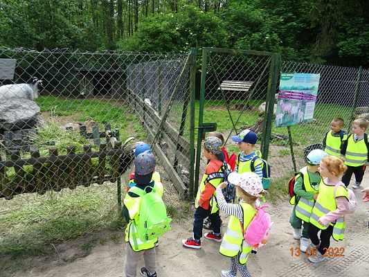 Grafika #1: Przedszkolaki u Dinozaurów-wycieczka cz. II