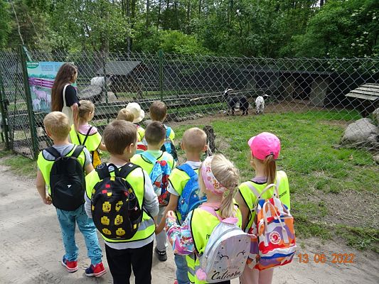 Grafika #2: Przedszkolaki u Dinozaurów-wycieczka cz. II