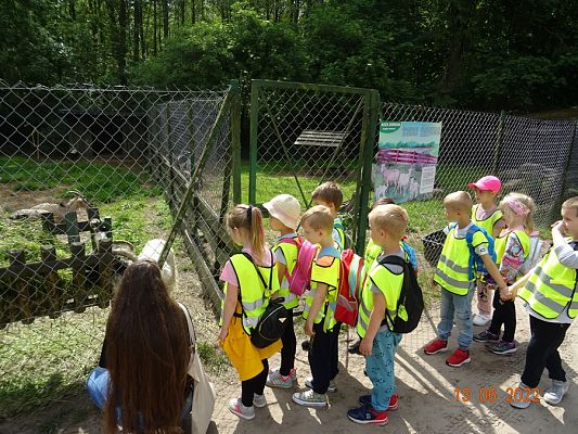 Grafika #3: Przedszkolaki u Dinozaurów-wycieczka cz. II