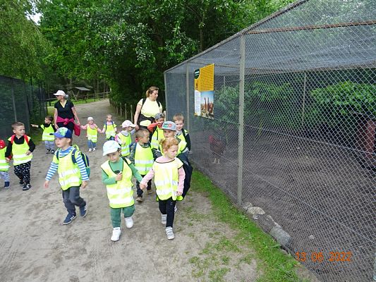 Grafika #6: Przedszkolaki u Dinozaurów-wycieczka cz. II