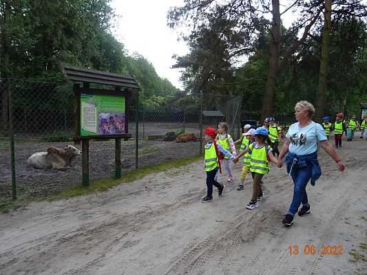 Grafika #8: Przedszkolaki u Dinozaurów-wycieczka cz. II