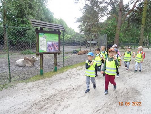 Grafika #9: Przedszkolaki u Dinozaurów-wycieczka cz. II