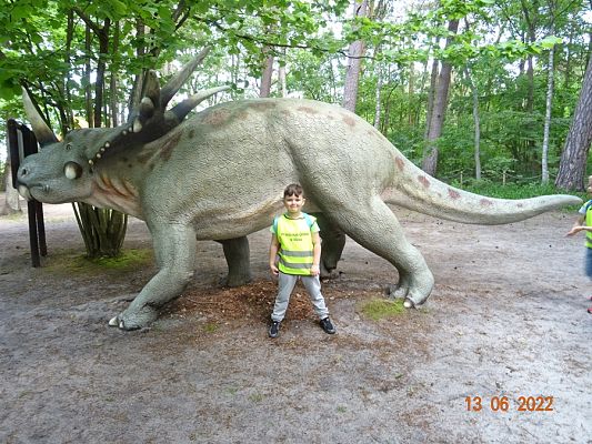 Grafika #12: Przedszkolaki u Dinozaurów-wycieczka cz. II