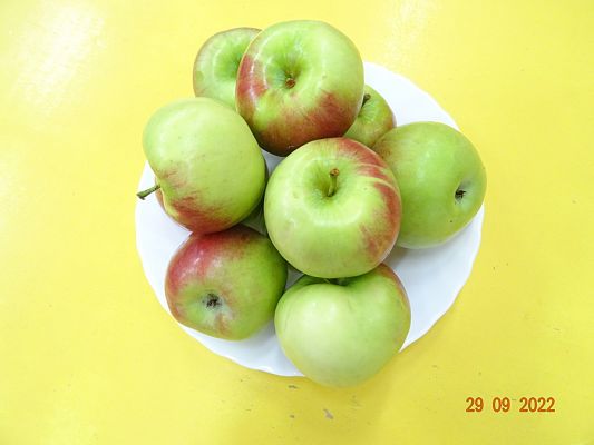 Grafika #3: Dzień Jabłka