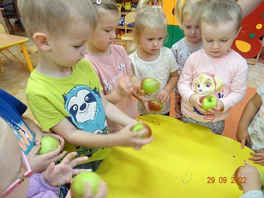 Grafika #8: Dzień Jabłka