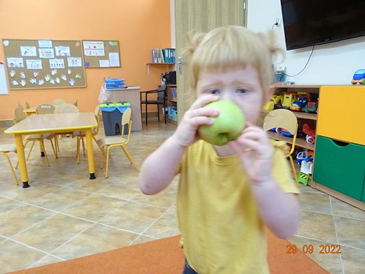 Grafika #10: Dzień Jabłka