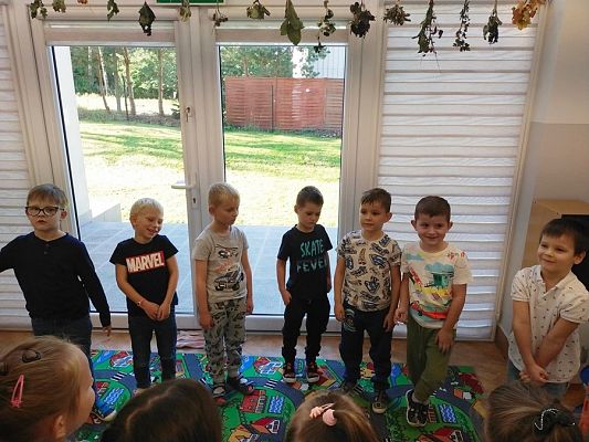 Grafika #1: Dzień Chłopaka w grupie Sowy