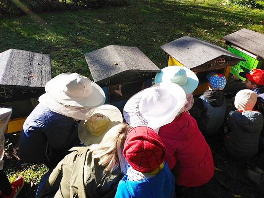 Grafika #2: Wyjście do pasieki cz. II