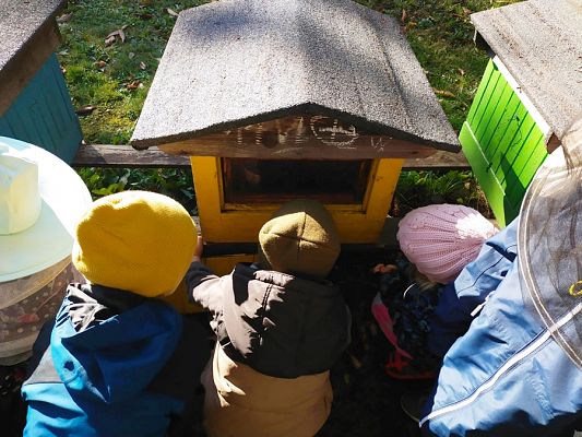 Grafika #6: Wyjście do pasieki cz. II