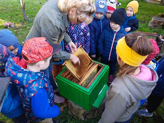 Grafika #7: Wyjście do pasieki cz. II