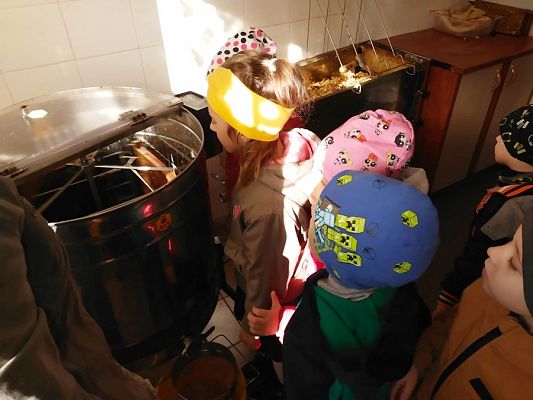 Grafika #9: Wyjście do pasieki cz. II