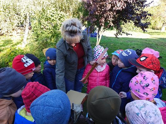 Grafika #10: Wyjście do pasieki cz. II