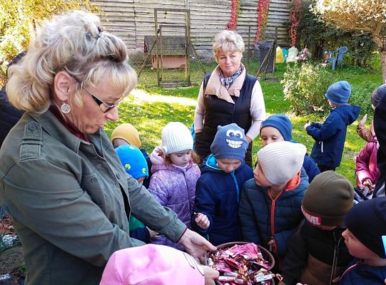 Grafika #11: Wyjście do pasieki cz. II