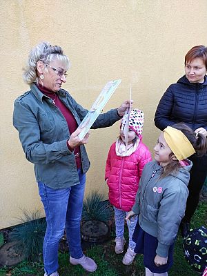 Grafika #13: Wyjście do pasieki cz. II