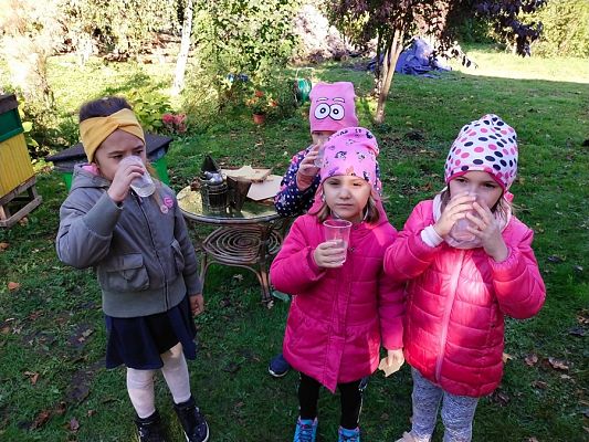 Grafika #15: Wyjście do pasieki cz. II