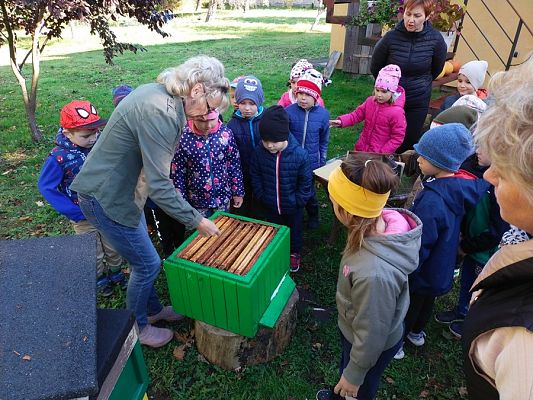 Grafika #18: Wyjście do pasieki cz. II