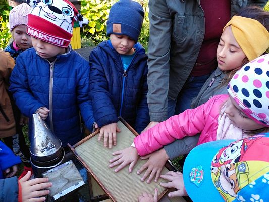 Grafika #1: Wyjście do pasieki cz. III