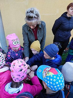 Grafika #10: Wyjście do pasieki cz. III