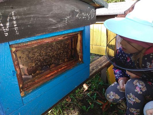 Grafika #14: Wyjście do pasieki cz. III